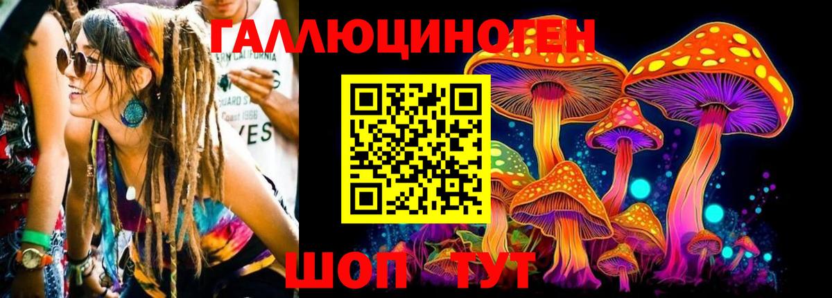 Псилоцибиновые грибы GOLDEN TEACHER Урус-Мартан